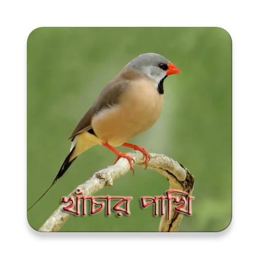 Birds Care 1.3