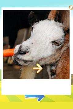 Animal Sounds - LITE screenshot 14