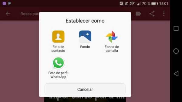 Rosas com frases bonitas 🌹 screenshot 12
