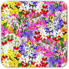 Beautiful Flowers Wallpaper icon