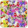 Beautiful Flowers Wallpaper