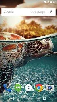 Pig Tiger Shark Turtle screenshot 1
