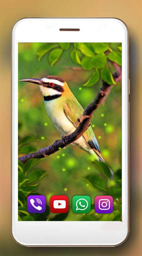 Birds Live Wallpaper स्क्रीनशॉट 4