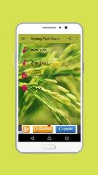 Burung Pipit Gacor screenshot 1