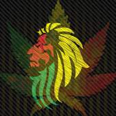 Best Music Reggea Rasta 0.0.5