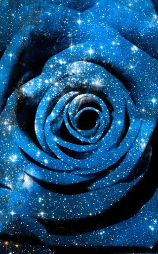 Blue Rose Live Wallpaper screenshot 3