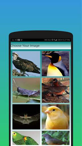 Birds Puzzle And Jigsaw screenshot 4