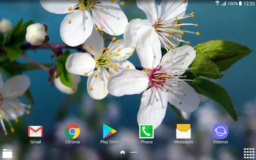 Beautiful Spring Wallpapers screenshot 8