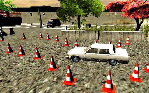 Pk Car Driving License Test screenshot 3
