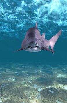 Shark Attack screenshot 1