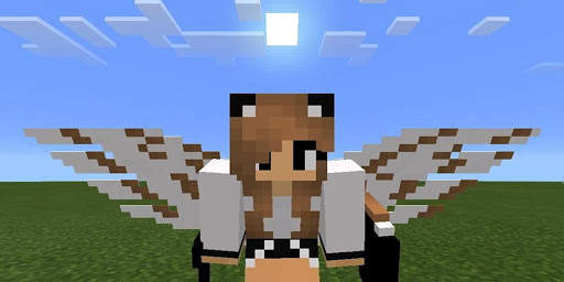 Wings Mods for minecraft screenshot 1