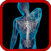 X-Ray Scanner icon