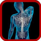 X-Ray Scanner 1.0