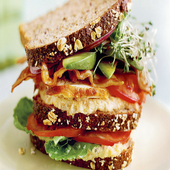 Sandwich Recipes App icon