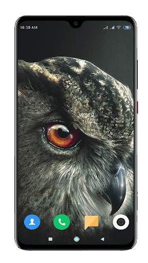 Owl Wallpaper HD screenshot 1