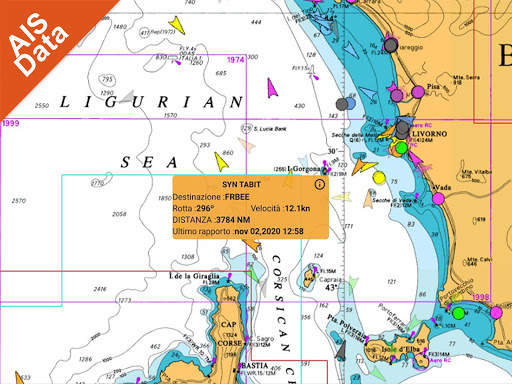 AIS Flytomap GPS carte nautiche e da pesca screenshot 14