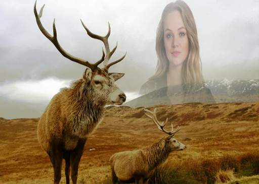Wildlife Photo Frames screenshot 2