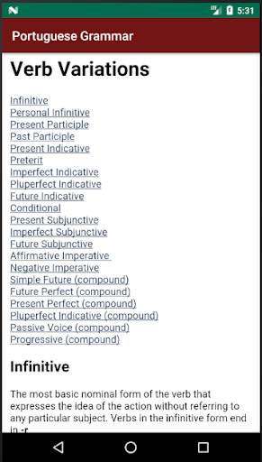 Portuguese Grammar Essentials screenshot 5
