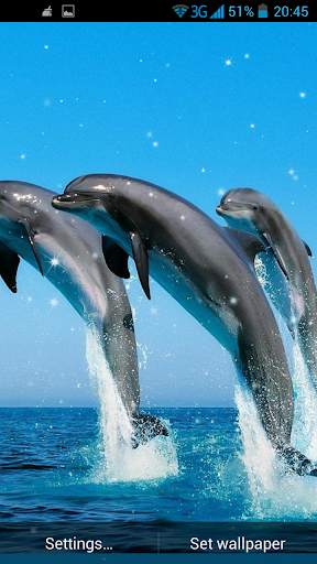 Dolphin 3D Live Wallpaper screenshot 3