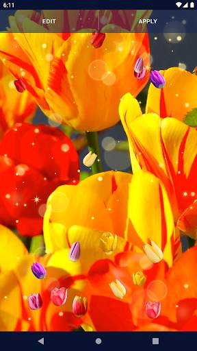 Tulip Spring 4K Wallpapers screenshot 6