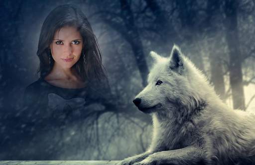 Wolf Photo Frames 2 تصوير الشاشة
