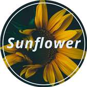 Sunflower Wallpaper icon
