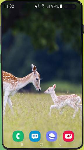Deer Wallpaper HD screenshot 13