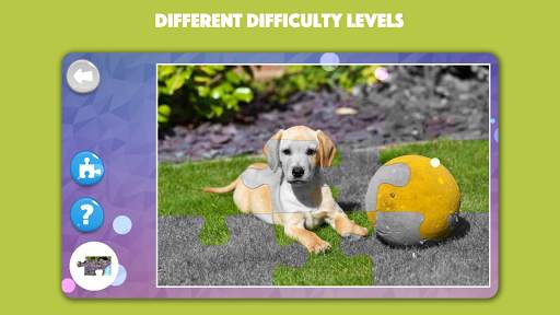 Dogs & Cats Puzzles for kids & toddlers 2 🐱🐩 screenshot 4