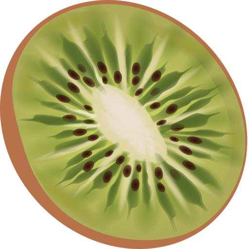 Kiwi VPN 1.0.1