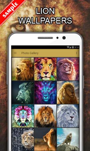 Lion Wallpapers screenshot 1