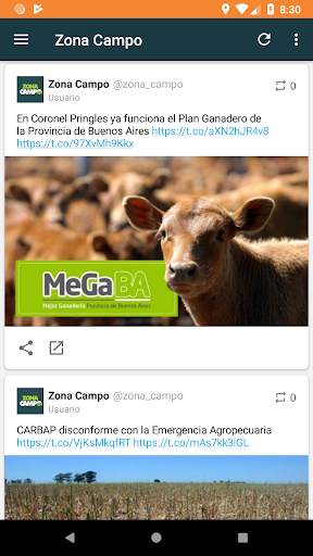 Zona Campo screenshot 4