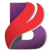BabaCric logo