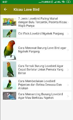Suara Kicau Love Bird Juara Offline screenshot 5