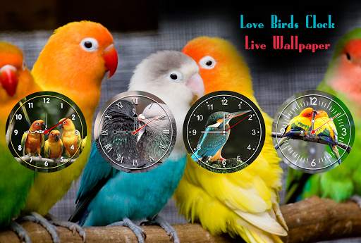 Love Birds Clock Live Wallpaper - Analog Clock screenshot 1