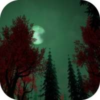 Mystic Night Sky Live Wallpaper logo