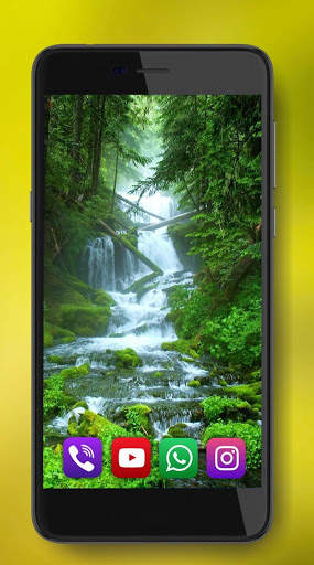 Forest Gallery Live Wallpaper screenshot 4