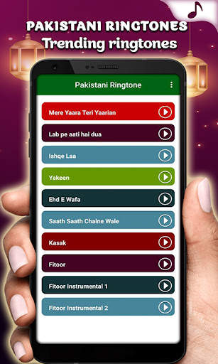 Pakistani Ringtone Song screenshot 1