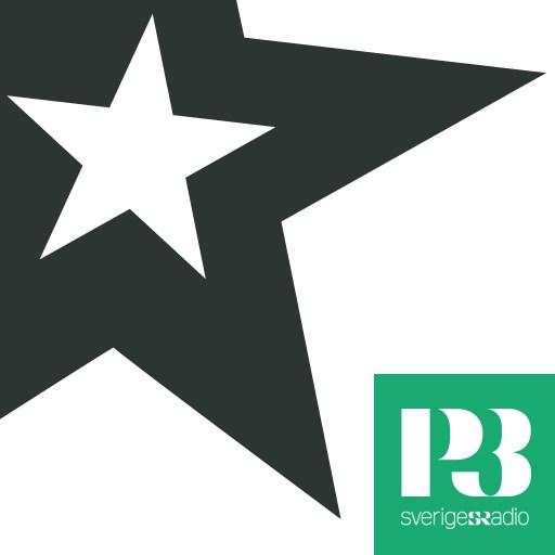 SR P3 Star screenshot 1