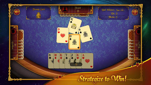 29 Card Game screenshot 3