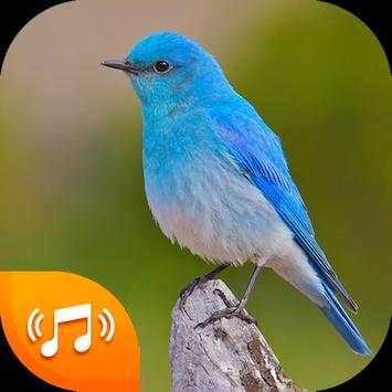 Bird Sounds - Bird Ringtones 2020 स्क्रीनशॉट 3