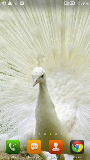 Queen Peacock Live Wallpaper screenshot 1