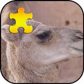 Camel Jigsaw Puzzles Game logo