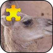 Camel Jigsaw Puzzles Game 1