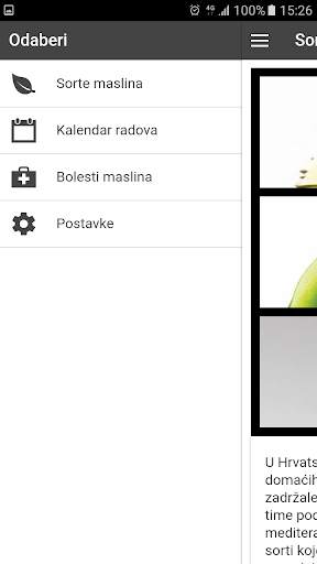Extra Vergine screenshot 2