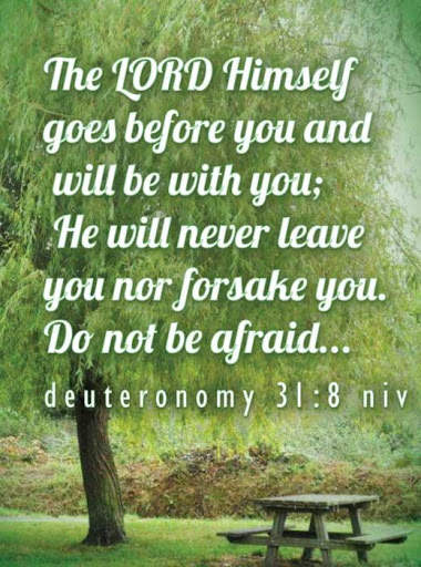 Bible Verse Promises screenshot 6