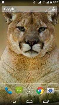 Animal Wallpapers HD screenshot 5