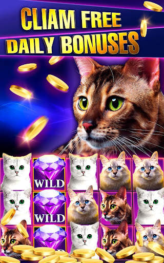 Casino Joy Mobile Video Slots screenshot 3