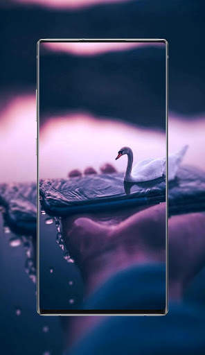 Live Wallpapers - HD & 4K Live backgrounds screenshot 3