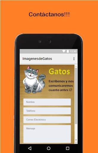 Fotos de Gatos screenshot 2