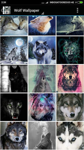 Wolf Wallpaper screenshot 3